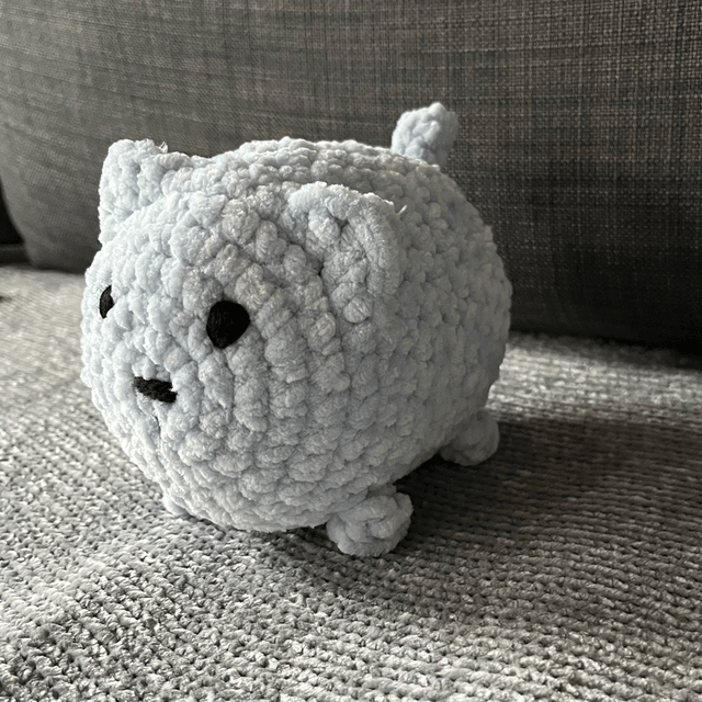 Petit chat 